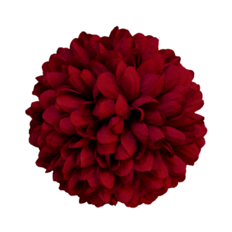 6 1/2" Burgundy Artificial Silk Mum - 15 Layers | 1 Count