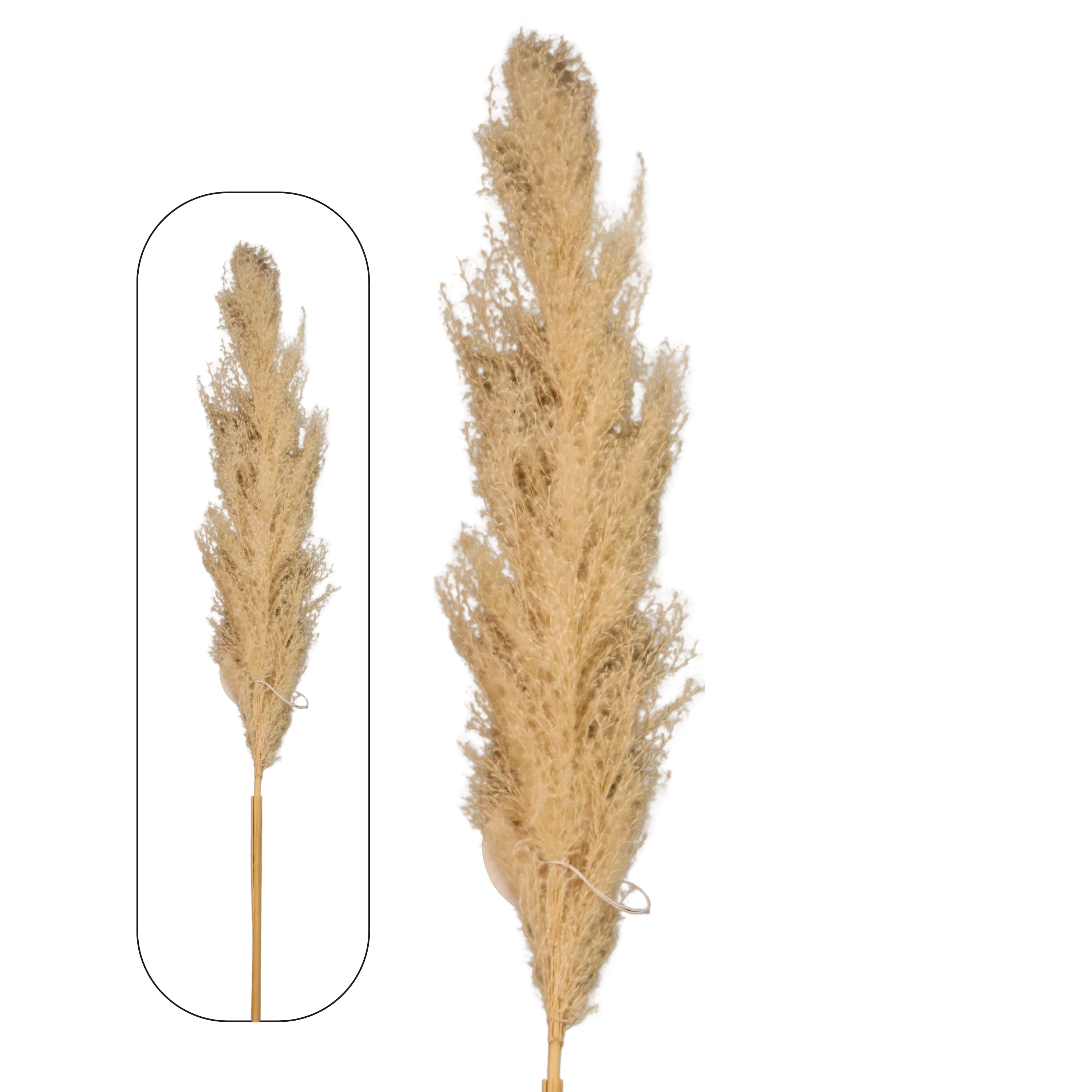 60" Natural Dried Artificial Pampas Grass | 1 Count