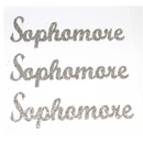 5" Class Glitter Stickers