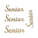 5" Class Glitter Stickers