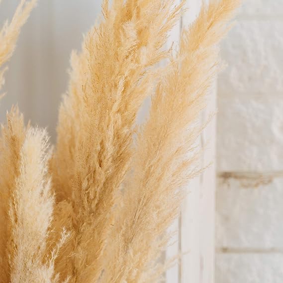 60" Natural Dried Artificial Pampas Grass | 1 Count