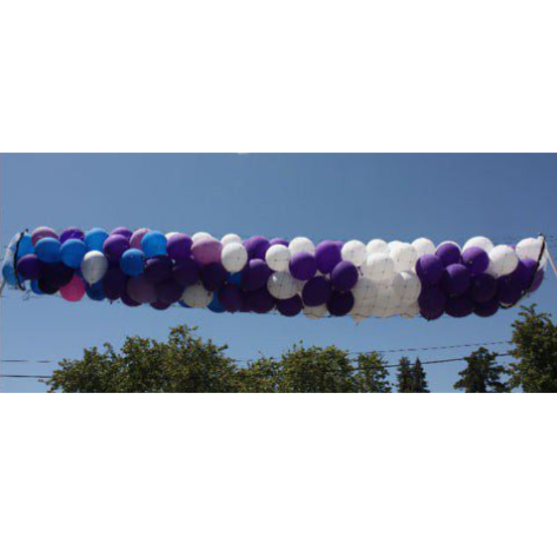 Silver Rainbow Boss 250 Pre Strung Balloon Drop Net - 30 Feet x 2 Feet | Holds 250 9" Or 1000 5"