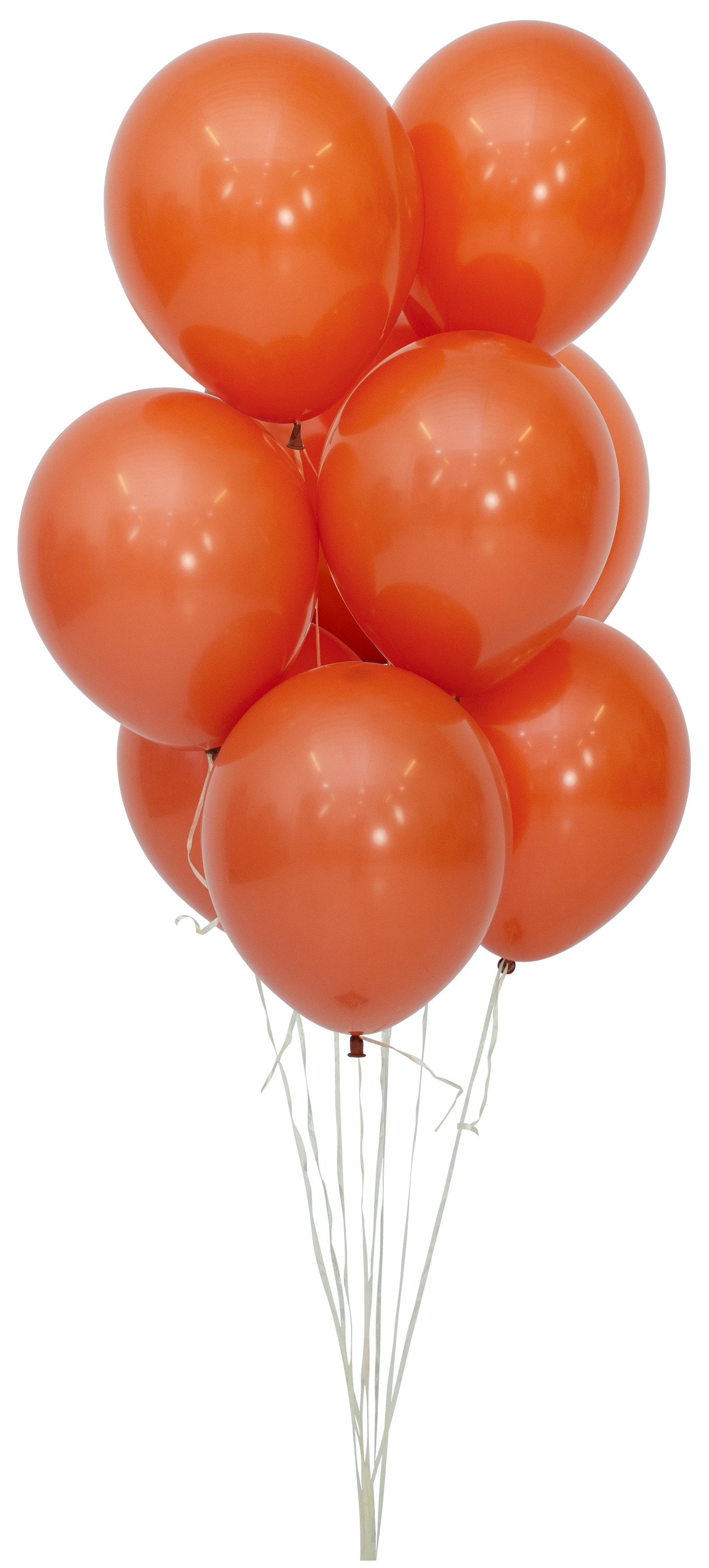 24" Sempertex Sunset Orange Latex Balloons | 10 Count