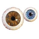 28" Jumbo Creepy 2 Sided Eyeball Foil Balloon (P16)