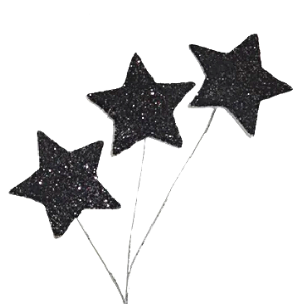 Vaporisateur étoile à paillettes noires ACI 8" | 1 unité