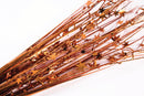 19" Star Spray Wired Picks Decoration