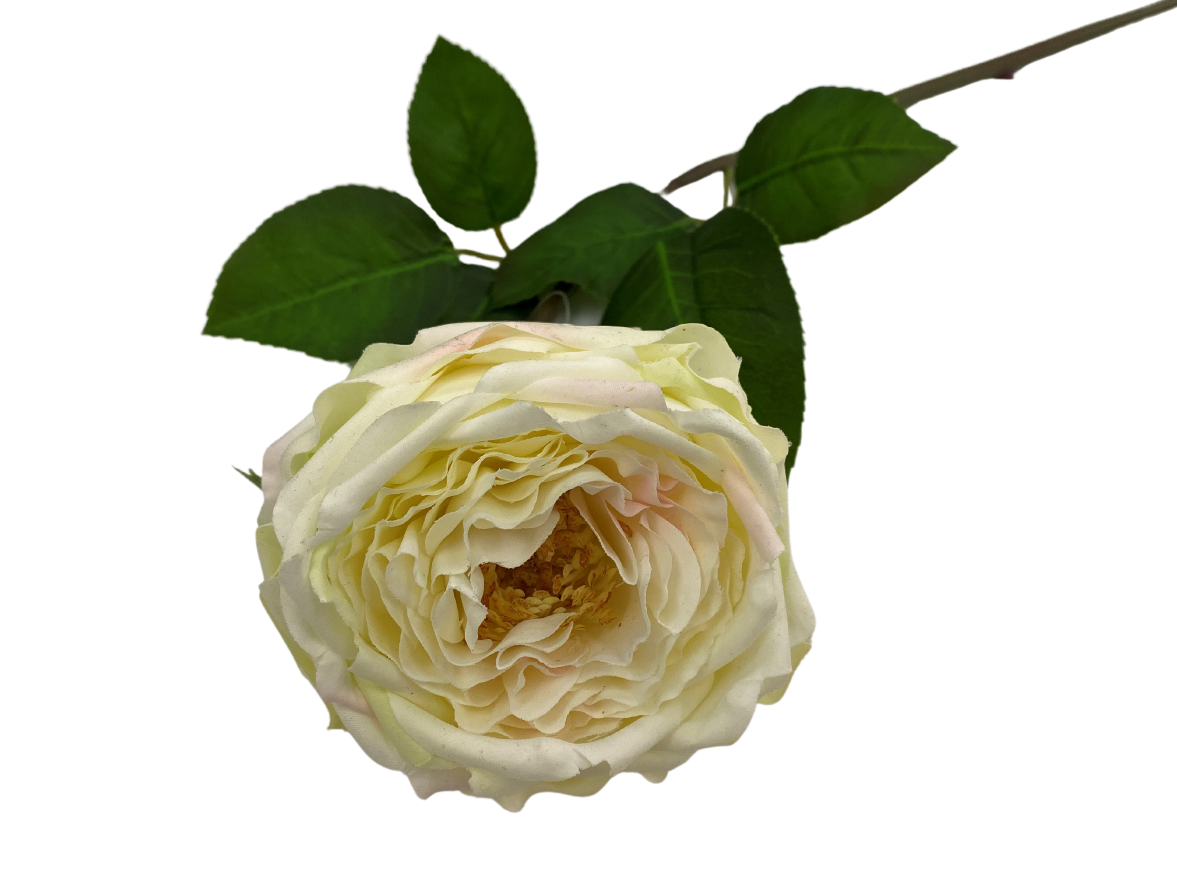 21" Faux Cabbage Rose W/ Wire Stem | 1 Count