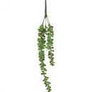 Planta artificial Senecio Rowleyanus de 16 pulgadas | 1 unidad
