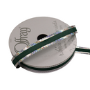 Cinta de elegancia brillante