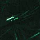 Metallic Krystalphane Pre-Cut Sheets - 18" x 30" | 100 Sheets