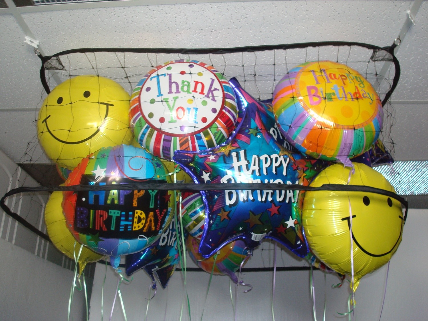 4' x 8' x 18" Ceiling Balloon Corral - Balloon Display