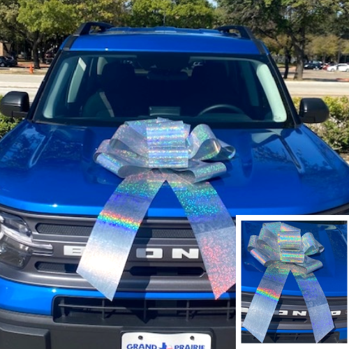 25" Reusable Magnetic Car or Special Event Bow | Great For Cars Or Large Gifts!