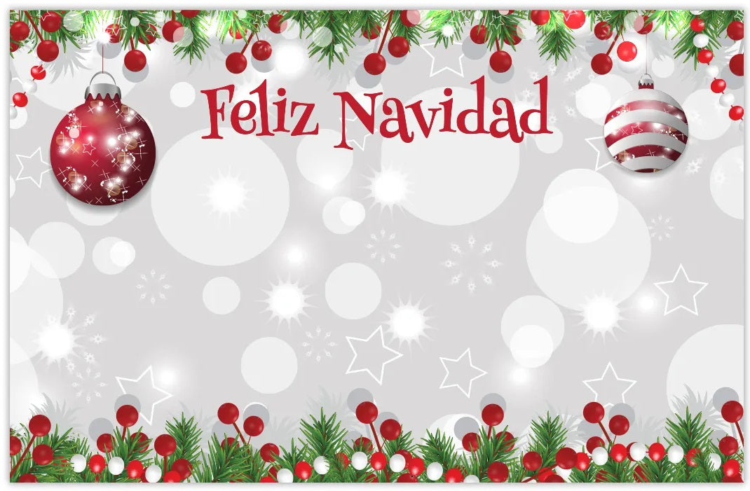 Feliz Navidad Berries & Bulbs Enclosure Cards | 50 Count