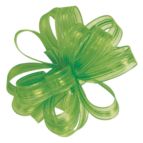 #3 Offray Leaf/Opal Veronica Sheer Ribbon - 5/8 Inch Wide, 25 Yards Long | 1 Spool