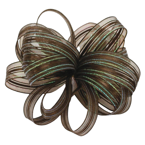 #3 Offray Chocolate/Opal Veronica Sheer Ribbon - 5/8 Inch Wide, 25 Yards Long | 1 Spool