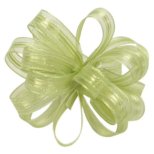 #3 Offray Lime/Opal Veronica Sheer Ribbon - 5/8 Inch Wide, 25 Yards Long | 1 Spool