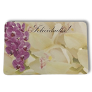 Felicidades - Congratulations Enclosure Cards | 50 Count