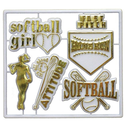 ACI Softball Charm Pack