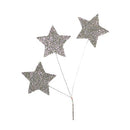 Spray Glitter Estrellas 1ud.