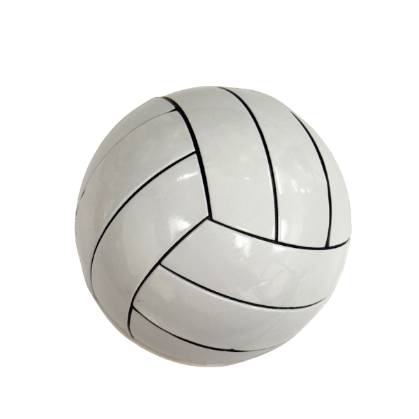 3.75" ACI Domed Volleyball Deco Sports Balls | 1 Count