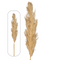 60" Natural Dried Artificial Pampas Grass | 1 Count