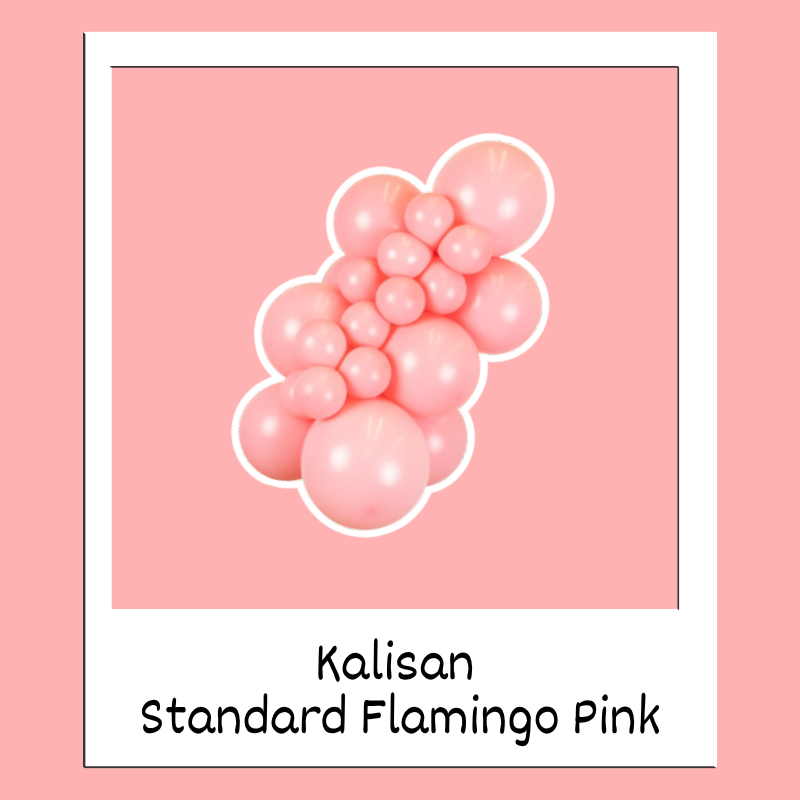 160M Kalisan Standard Flamingo Pink Nozzle Up Modeling Latex Balloons | 50 Count