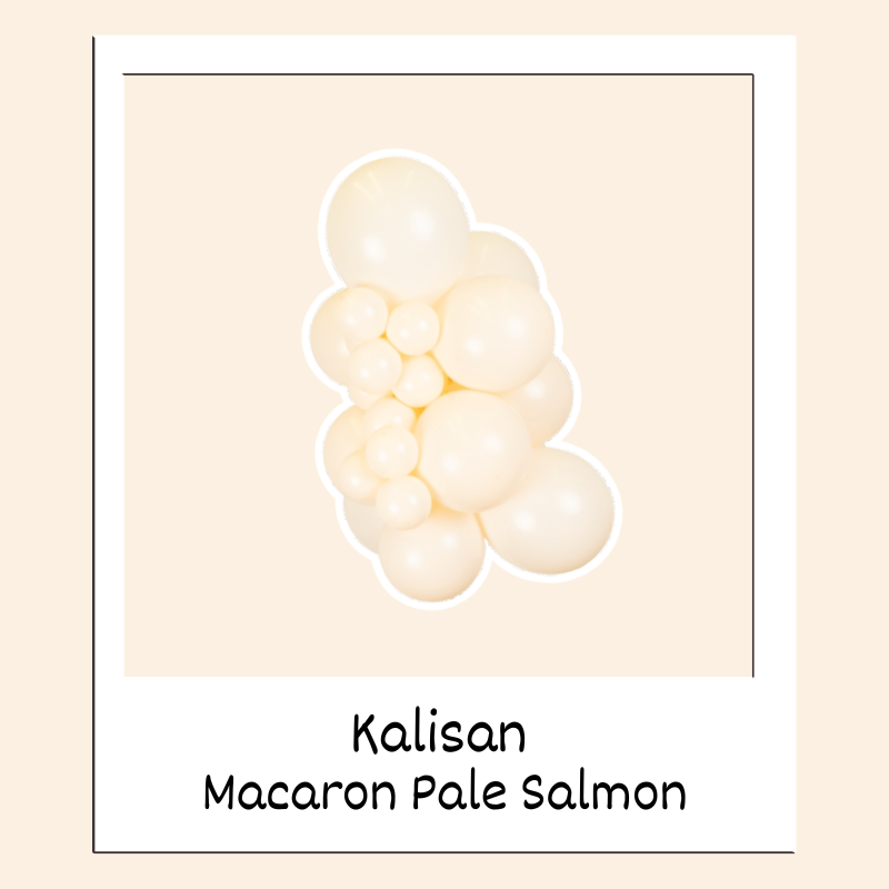260M Kalisan Macaron Salmon Nozzle Up Modeling Latex Balloons | 50 Count