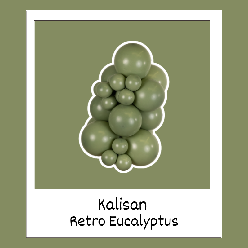 360M Kalisan Retro Eucalyptus Nozzle Up Modeling Latex Balloons | 50 Count