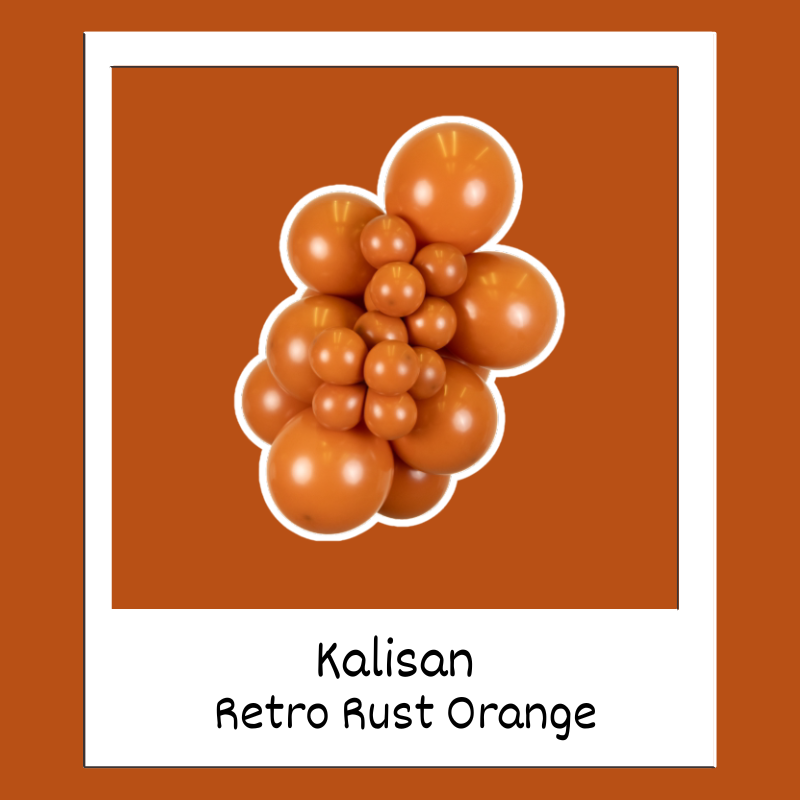 260M Kalisan Retro Rust Orange Nozzle Up Modeling Latex Balloons | 50 Count