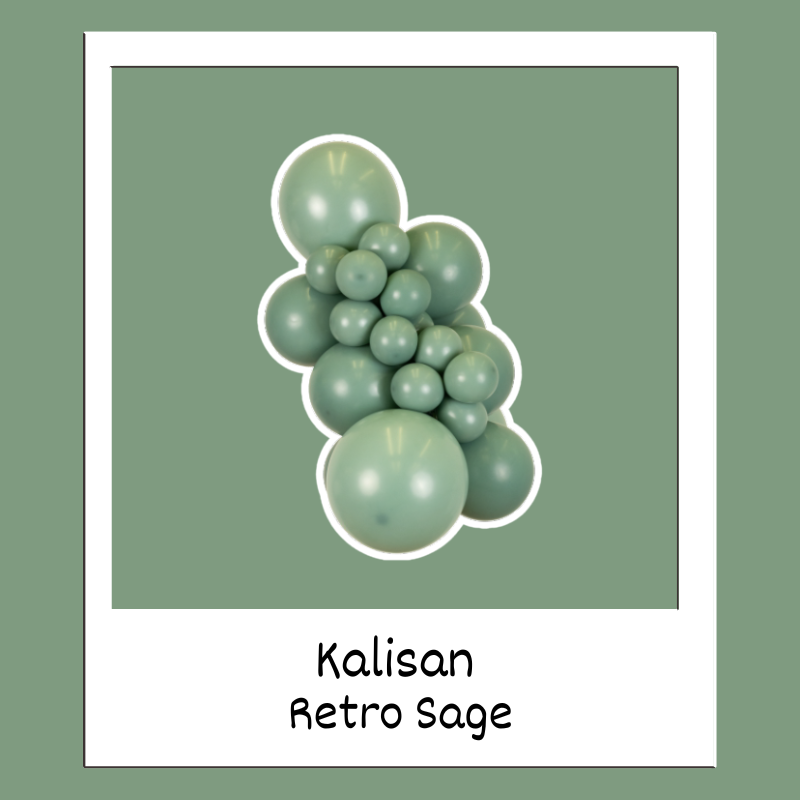 24" Kalisan Retro Sage Latex Balloons | 2 Count