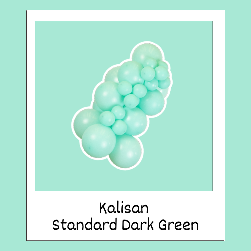 24" Kalisan Standard Sea Green Latex Balloons | 2 Count
