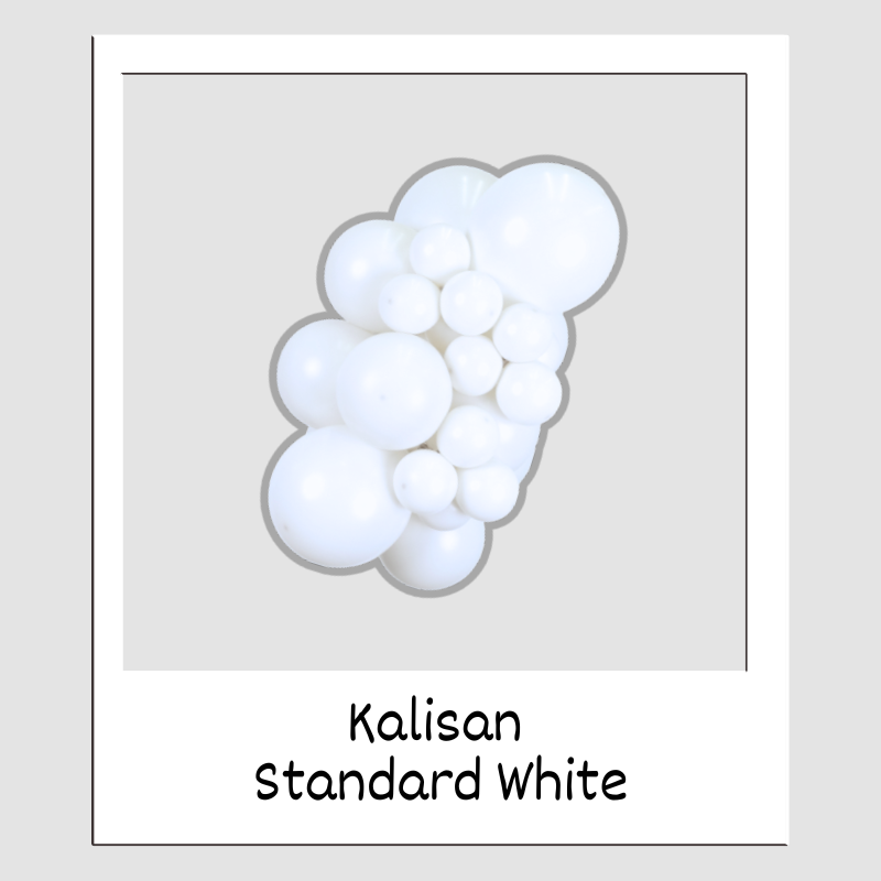 160M Kalisan Standard White Nozzle Up Modeling Latex Balloons | 50 Count