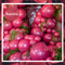 24" TUFTEX Samba - Burgundy Latex Balloons | 25 Count