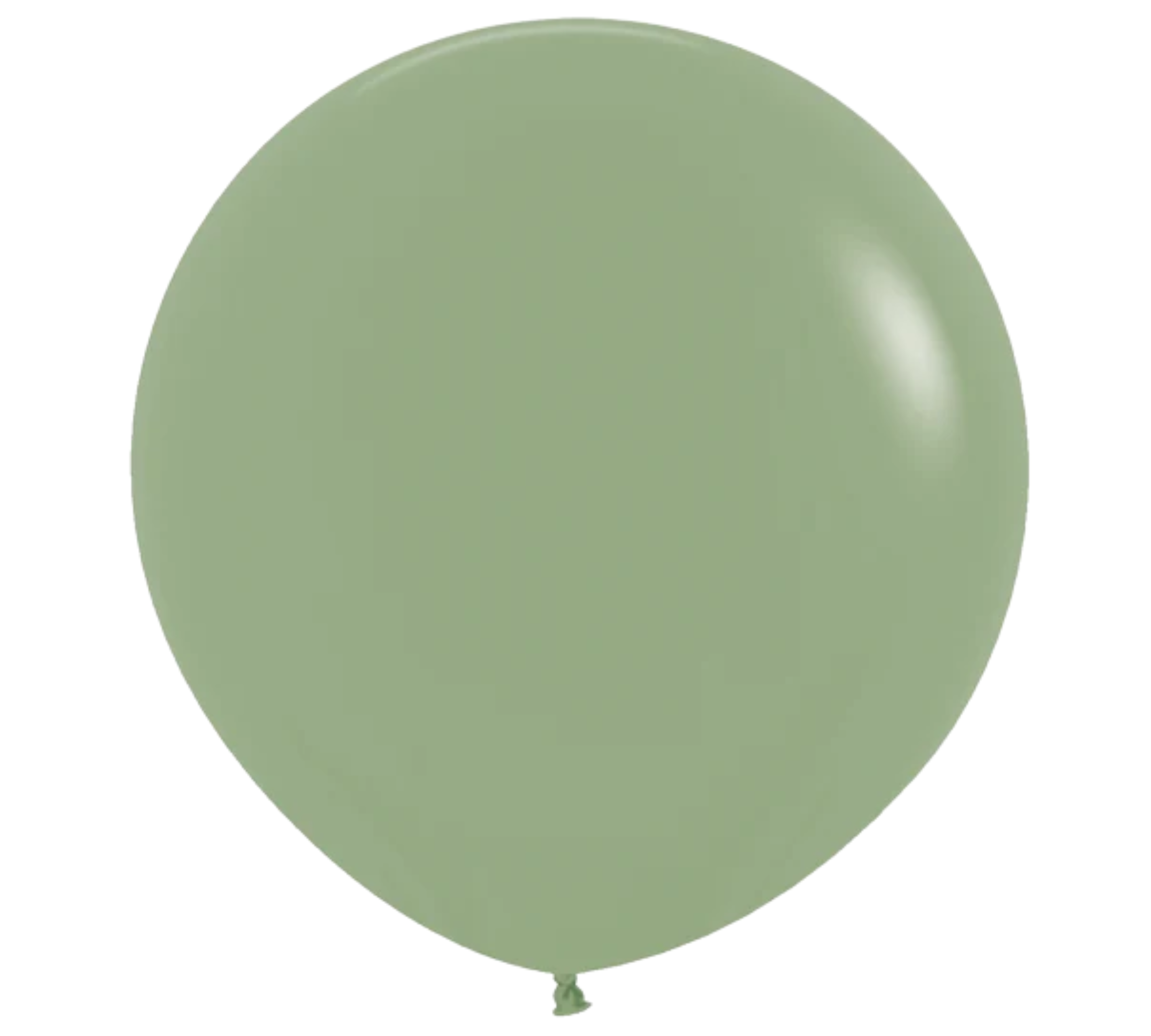 24" Sempertex Deluxe Eucalyptus Latex Balloons | 10 Count