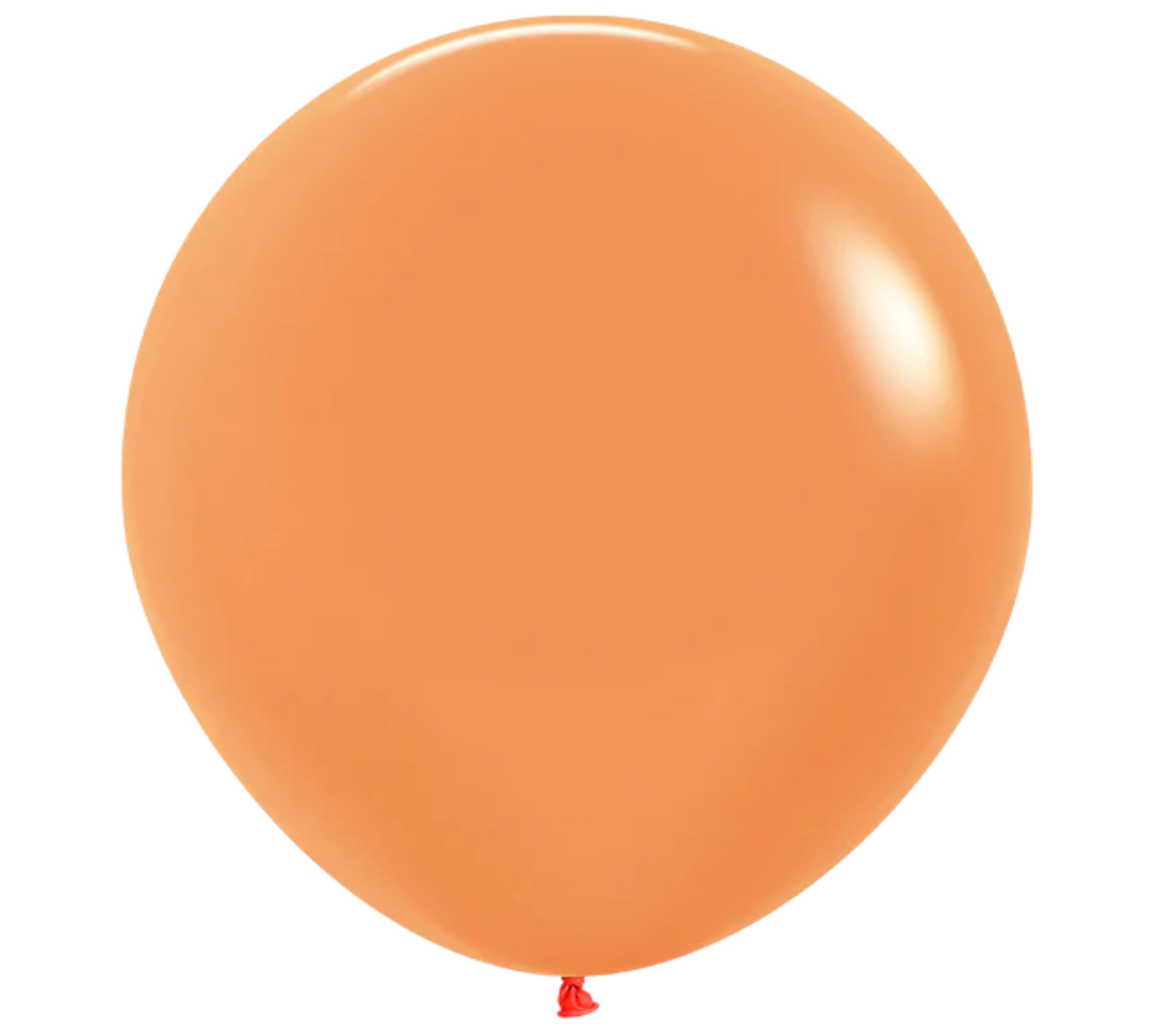 24" Sempertex Neon Orange Latex Balloons | 10 Count
