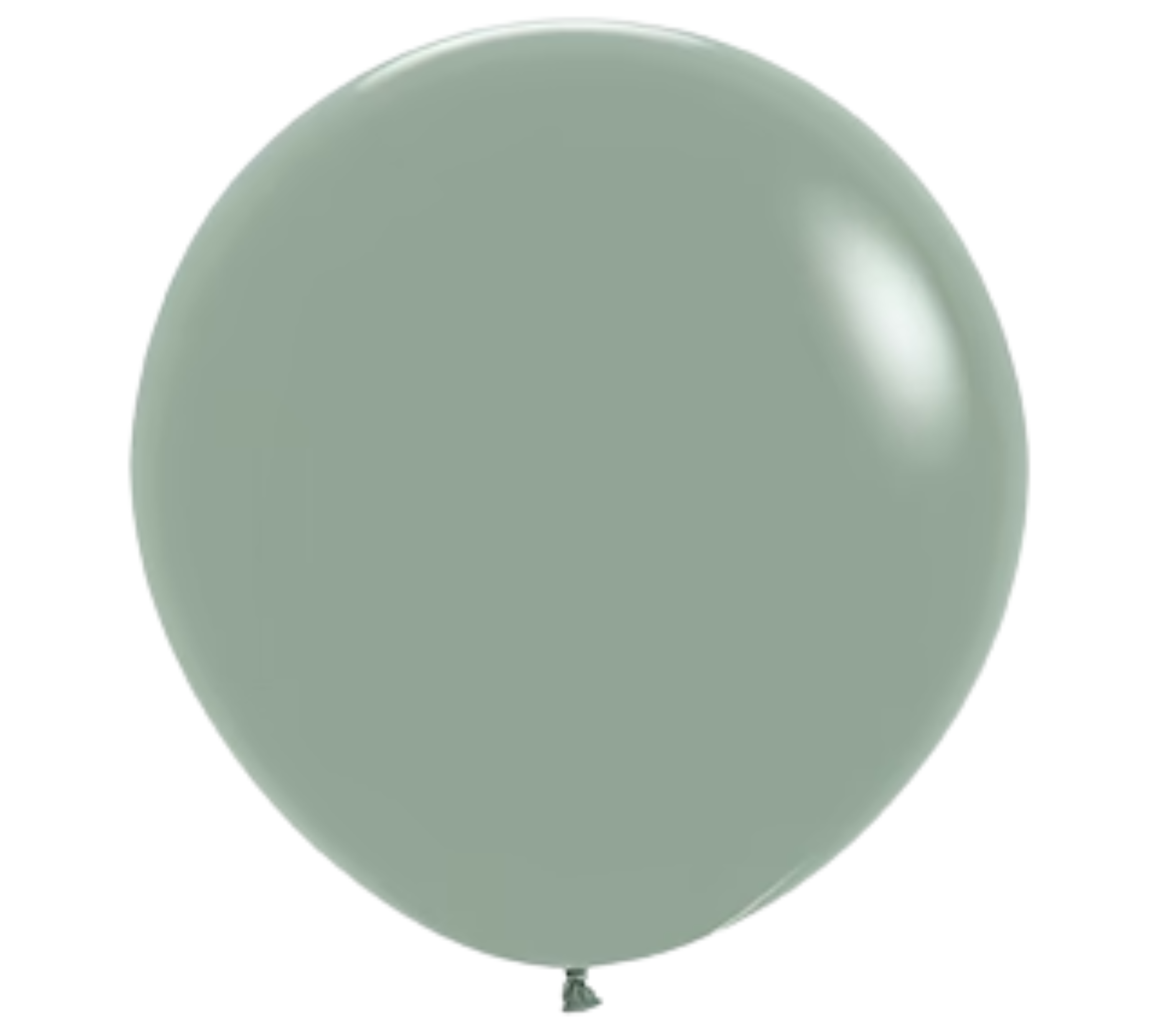 Lot de 10 ballons couleur vert mint pastel nacré premium en latex