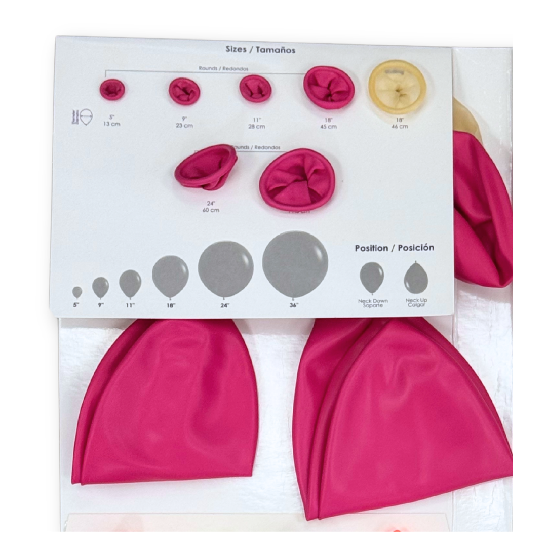 2026 Sempertex Latex Color Portfolio | 1 Count