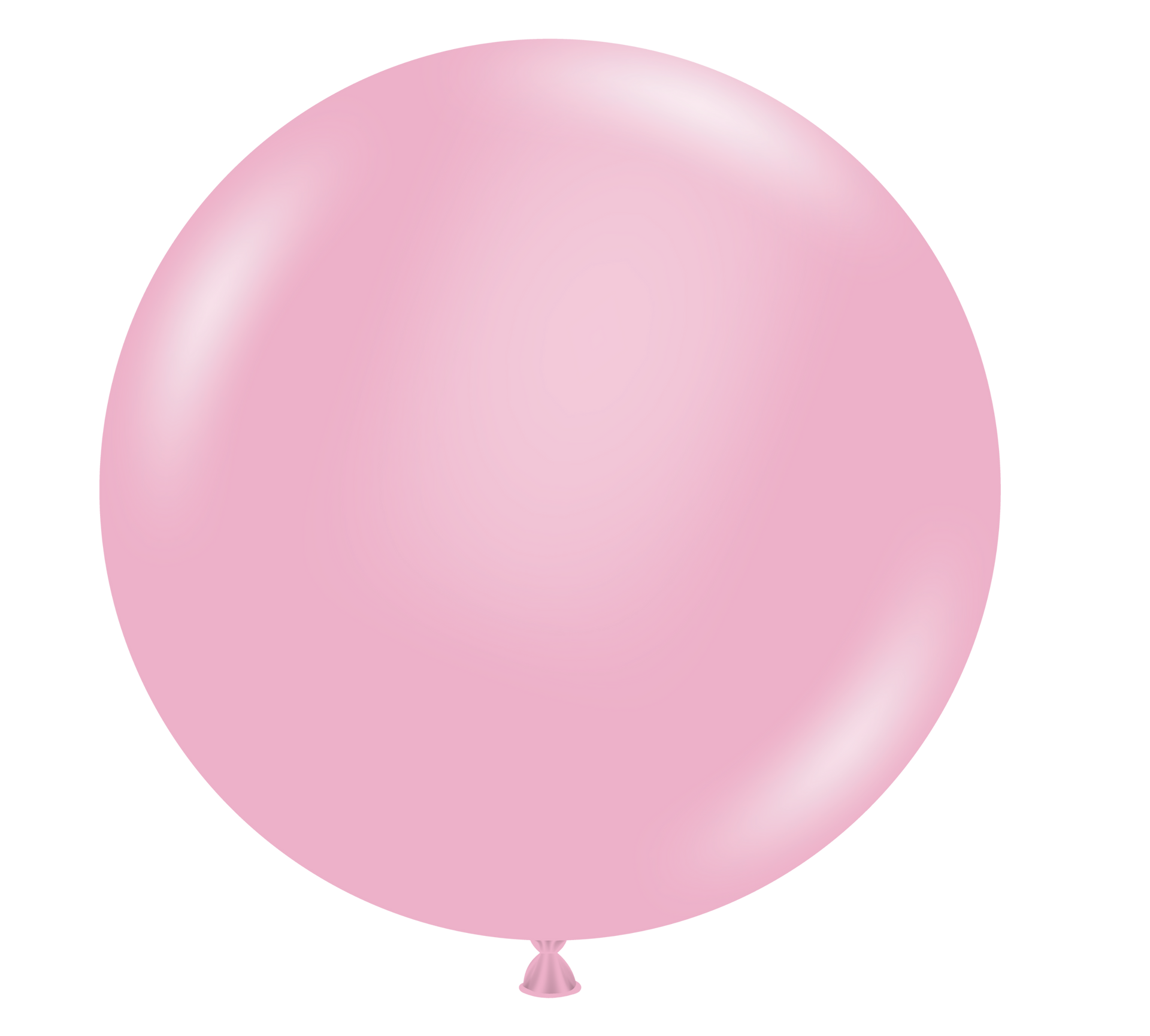 【AAKE】CURVED BALLOON PT Cattex 56