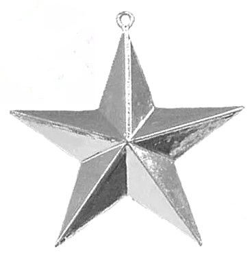 2.25" 3-D Plastic Star
