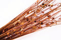 19" Star Spray Wired Picks Decoration