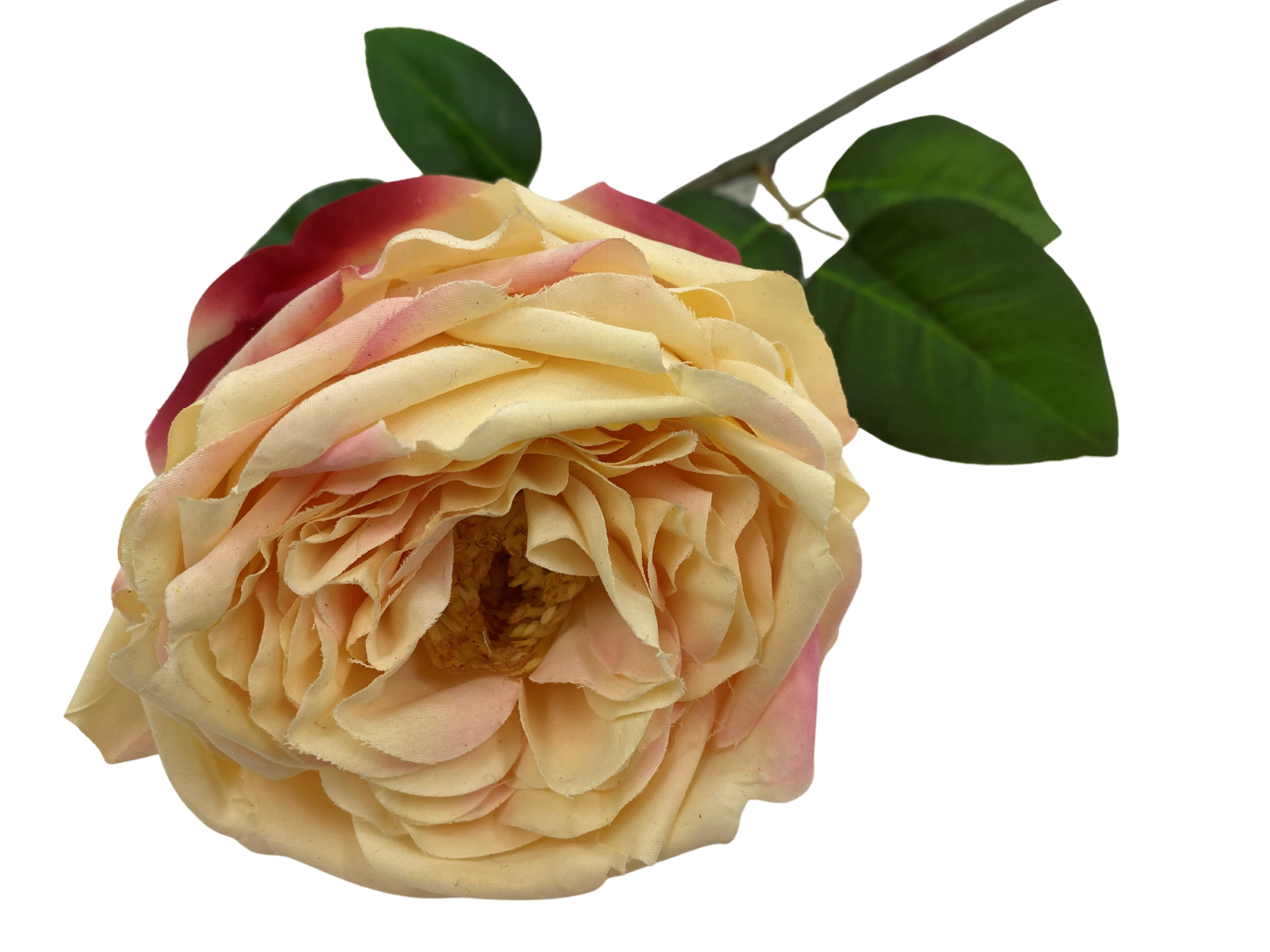 21" Faux Cabbage Rose W/ Wire Stem | 1 Count