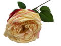 21" Faux Cabbage Rose W/ Wire Stem | 1 Count