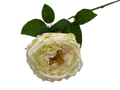 21" Faux Cabbage Rose W/ Wire Stem | 1 Count