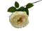 21" Faux Cabbage Rose W/ Wire Stem | 1 Count