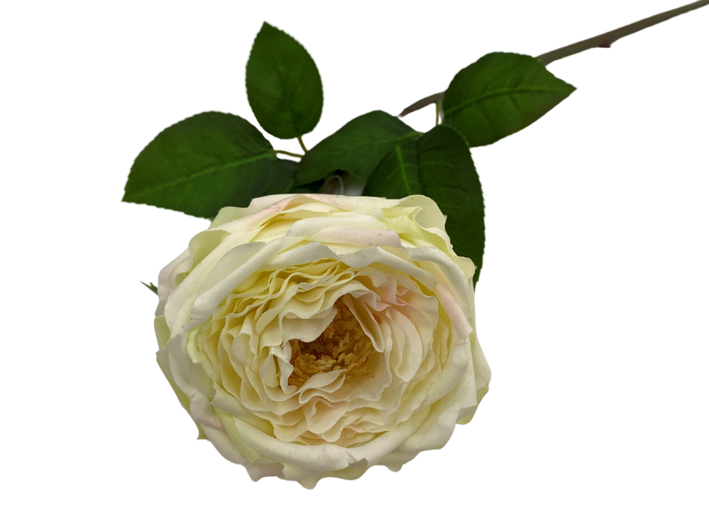 21" Faux Cabbage Rose W/ Wire Stem | 1 Count