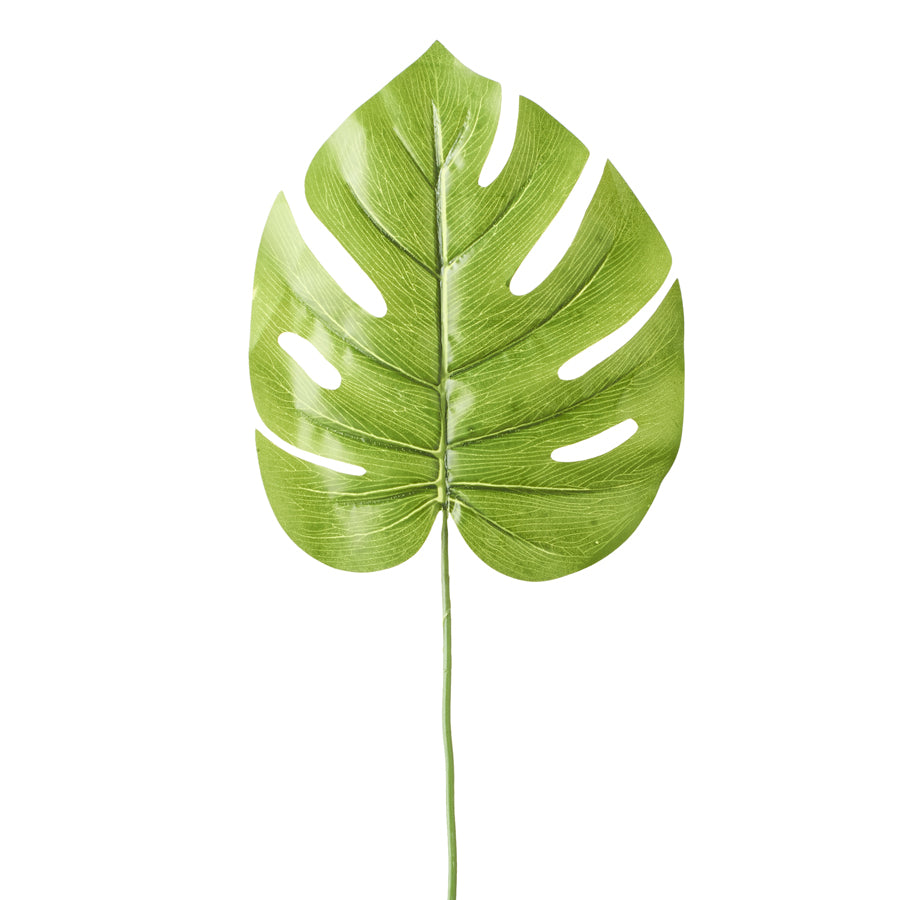 7¾" Light Green Artificial Palm Monstera Leaf | 12 Count