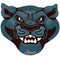24" Team Panthers Foil Balloon
