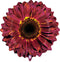 20" Flower Foil Balloon