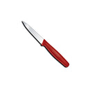 3 1/4" Victorinox Practical Paring Knife With Straight Edge | 1 Count