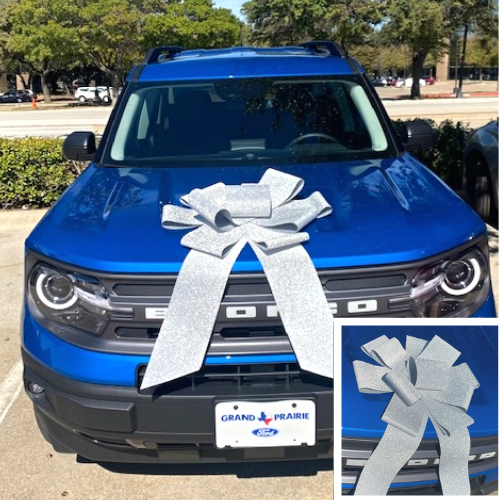 25" Reusable Magnetic Car or Special Event Bow | Great For Cars Or Large Gifts!